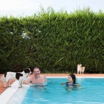 Hotel Virginia piscina per cani